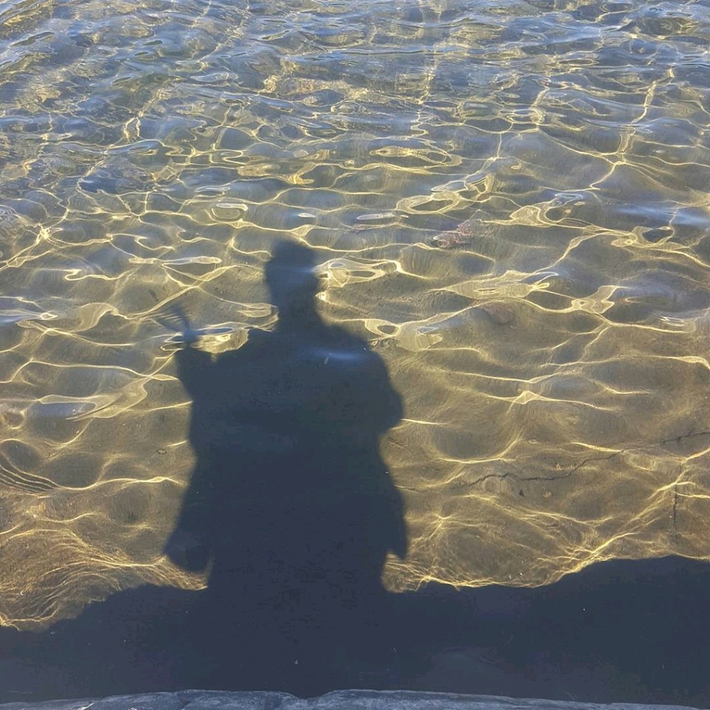 Meet your Posher, Liza